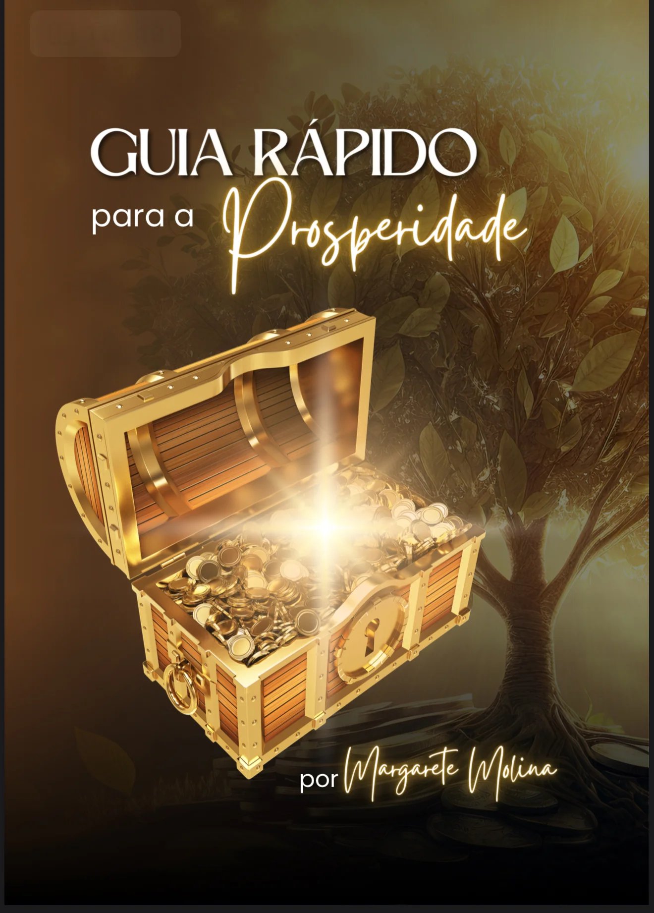 Capa do livro Guia Rápido para a Prosperidade